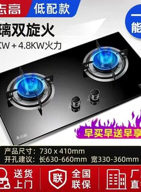志高燃气灶猛火双灶煤气灶天然气大火台式嵌入式JZT-BZ灶液化气