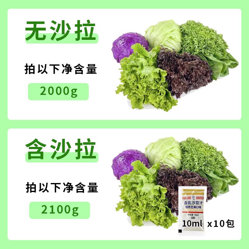 新鲜蔬菜沙拉组合4斤 混合蔬菜健身轻食沙拉食材生菜色拉配菜 - 图0