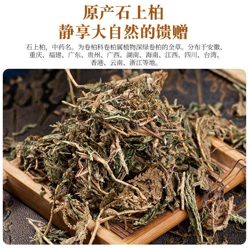 野生石上柏500g克中药材石上柏中草药石柏新鲜干货地柏草地侧柏叶,淘宝优惠券,粉丝福利购,淘宝优惠卷