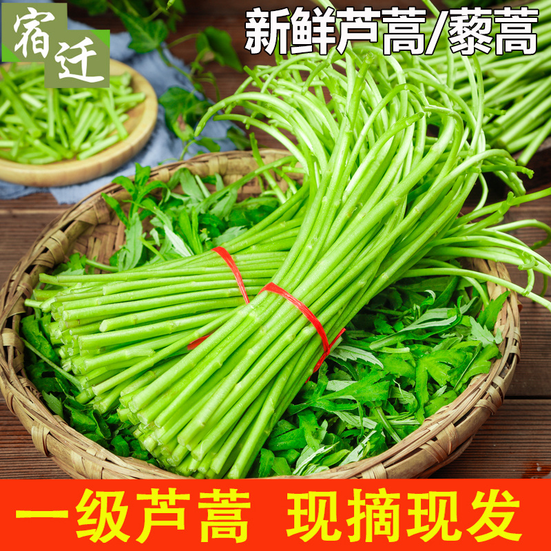 当季芦蒿 新鲜篱蒿3斤去根去叶黎蒿新鲜蔬菜野菜藜蒿鲜嫩泥蒿茼蒿