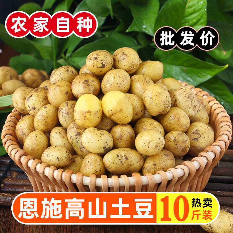 恩施小土豆现挖湖北新鲜黄心土豆5斤当季蔬菜整箱迷你马铃薯洋芋9