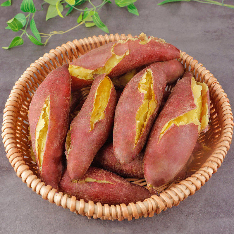 新鲜蜜薯10斤糖心农家自种板栗红薯 鲜蔡家番薯