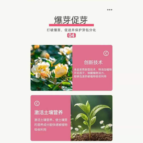 植物爆芽素优芽素通用型营养液多肉三角梅促芽催芽爆芽叶插叶面肥 - 图2