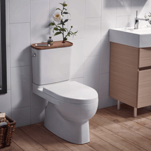 科勒坐便器虹吸小户型抽水马桶防臭家用座厕节水陶瓷座便器18643T