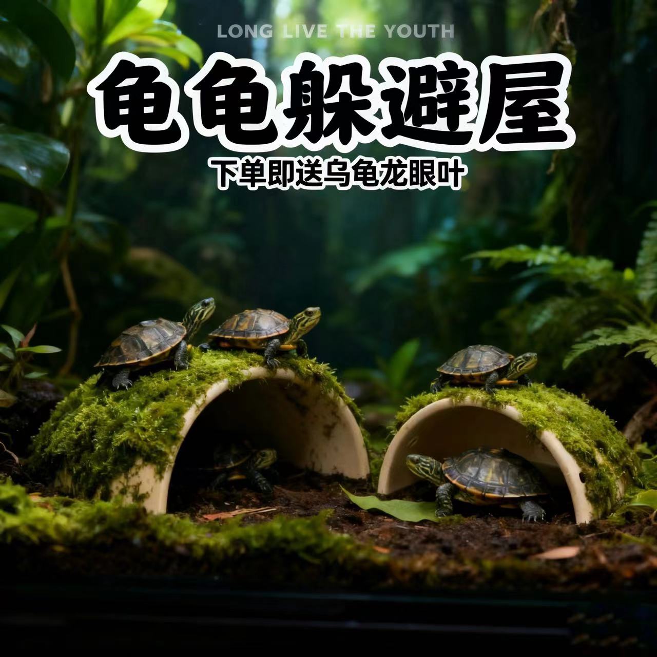 鱼缸造景摆件小鱼虾躲避屋迷你鹦鹉鱼繁殖屋全套陶罐鱼缸装饰 - 图1