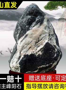 天然家用石敢当庭院靠山石室内中式摆件泰山青石镇宅补角原石