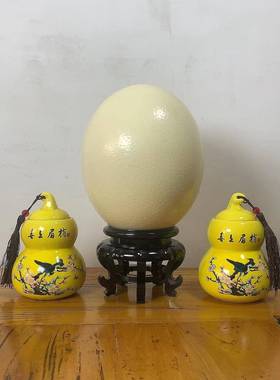 精选好品天然大号鸵鸟蛋空壳工艺品雕刻绘画 DIY原材料空蛋壳摆件