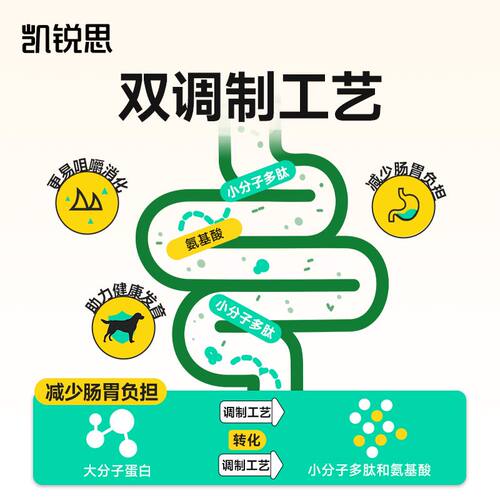 凯锐思狗粮比熊泰迪边牧柴犬金毛拉布拉多大型犬小型犬40斤装 - 图1