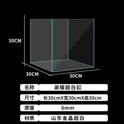 金晶五线超白鱼缸金晶五线超白缸定制大小型鱼缸定做客厅造景玻璃-图3