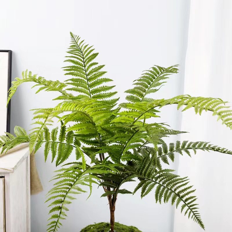高仿真蕨类波斯绿植肾蕨热带雨林软装植物造景背景墙插花装饰花艺,淘宝优惠券,粉丝福利购,淘宝优惠卷