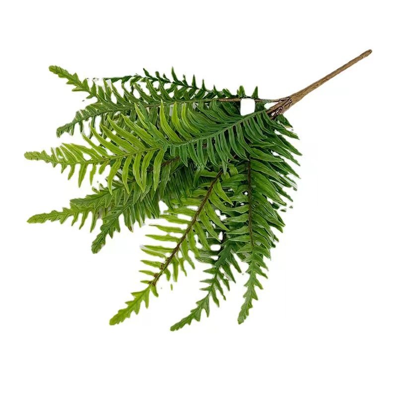 高仿真蕨类波斯绿植肾蕨热带雨林软装植物造景背景墙插花装饰花艺,淘宝优惠券,粉丝福利购,淘宝优惠卷