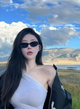 个性小框椭圆墨镜女潮美式高级感