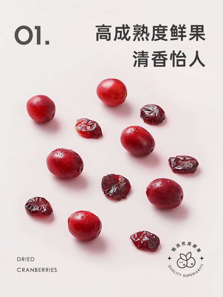 展艺干100g小曲奇饼干雪花酥原料 忆厨食品蔓越莓干