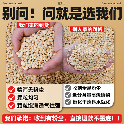 日本进口鹿沼土颗粒多肉盆景兰花土专用纯铺面石硬质营养土颗粒土 - 图1