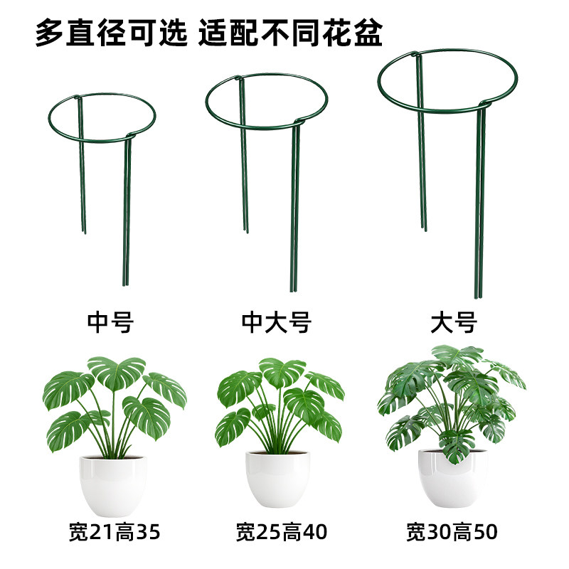 花支撑架植物支撑杆阳台花架花卉龟背竹防倒伏虎皮兰护花架绿萝月,淘宝优惠券,粉丝福利购,淘宝优惠卷