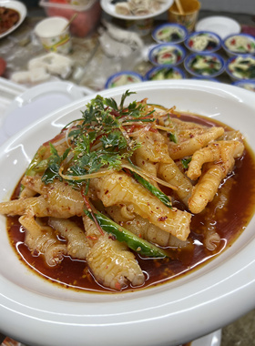 无骨鸡爪仿真菜假菜道具酒店菜品