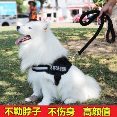 脖圈小套小狗狗链子牵引绳英牛犬八股绳胸绳小犬自背包宠物长绳宠 - 图2