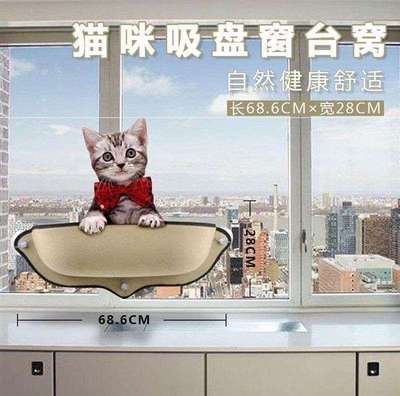 猫晒太阳猫咪吊床酣睡小奶猫用品小猫的生活用品 - 图0