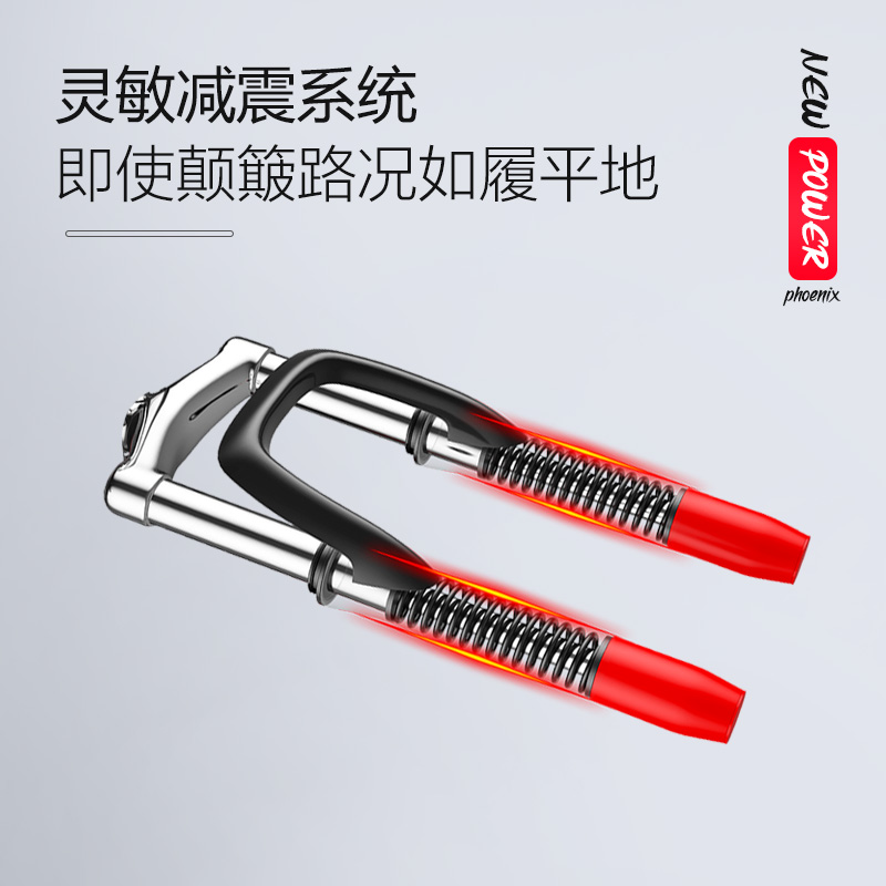 凤凰48v锂电池电动自行车新国标男女士成年人电瓶车代步电单车 - 图3