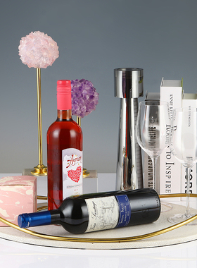 轻奢创意简约皮质椭圆形金属托盘