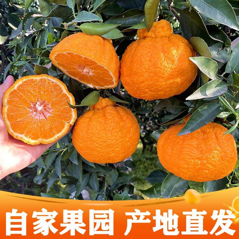 四川丑橘耙耙丑八怪柑桔子粑粑特优新鲜水果整箱10斤,淘宝优惠券,粉丝福利购,淘宝优惠卷