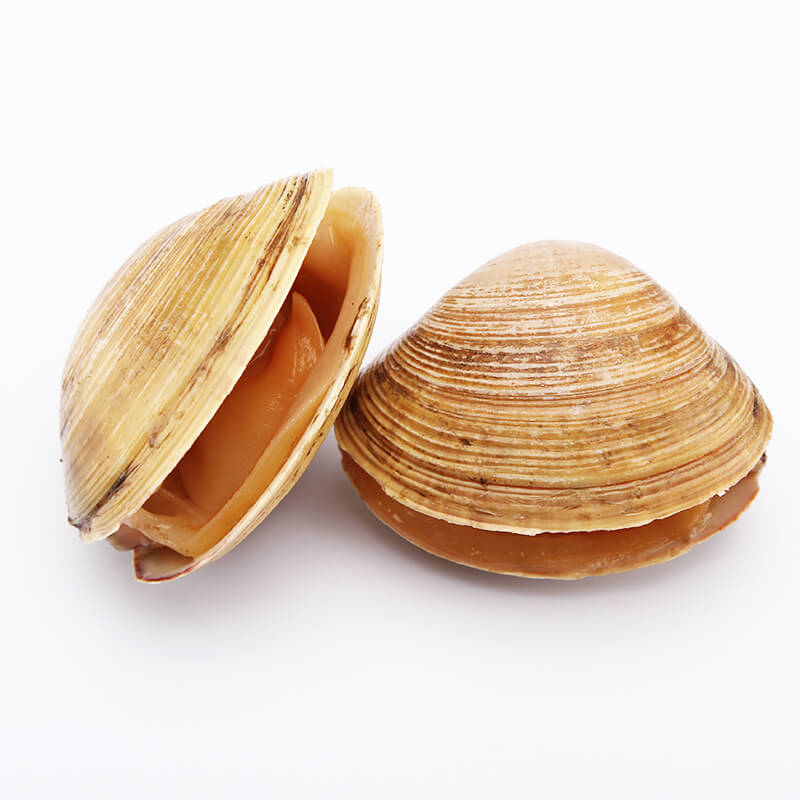 Fresh Dandong shellfish, sea-caught yellow clams, flash delivery to Beijing