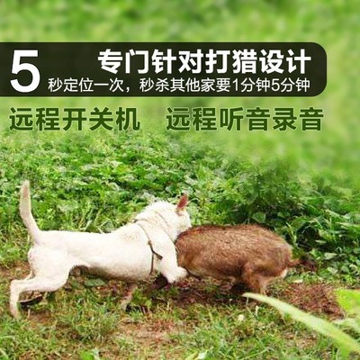 卫星犬gps 新人首单立减十元 21年8月 淘宝海外