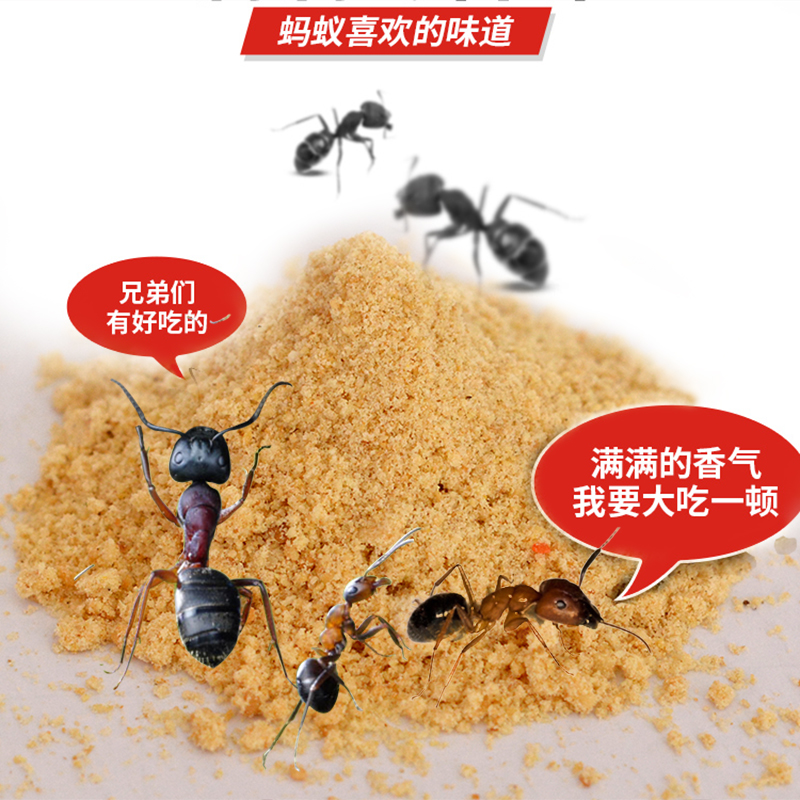 达豪灭蚂蚁药家用室内低毒白蚁药大黑红蚂蚁药饵剂室户外全窝使用-图0