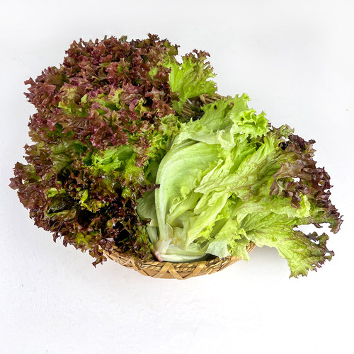 绿食者 红叶生菜500g 新鲜罗莎红紫叶生菜沙拉色拉蔬菜西餐食材 - 图1