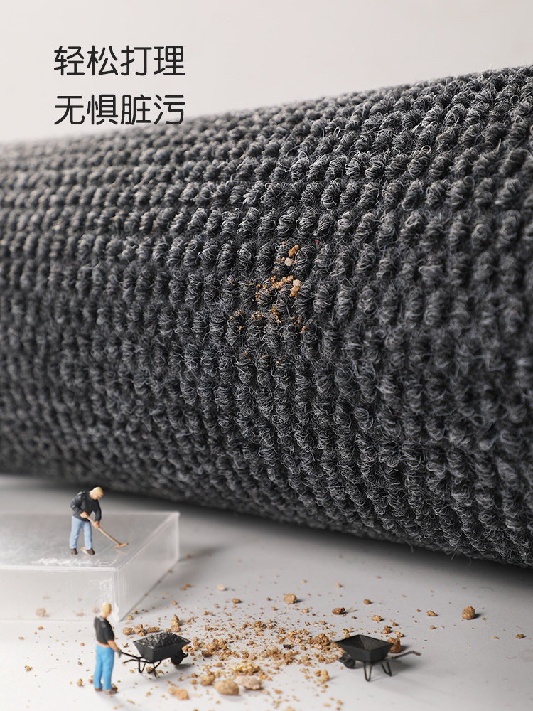 入户门地垫高级感进门脚垫玄关耐脏除尘门垫别墅大门口进户门地毯,淘宝优惠券,粉丝福利购,淘宝优惠卷