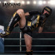 Yi Li Zhe Professional Sanda Fighting Combat Protective Gear Set