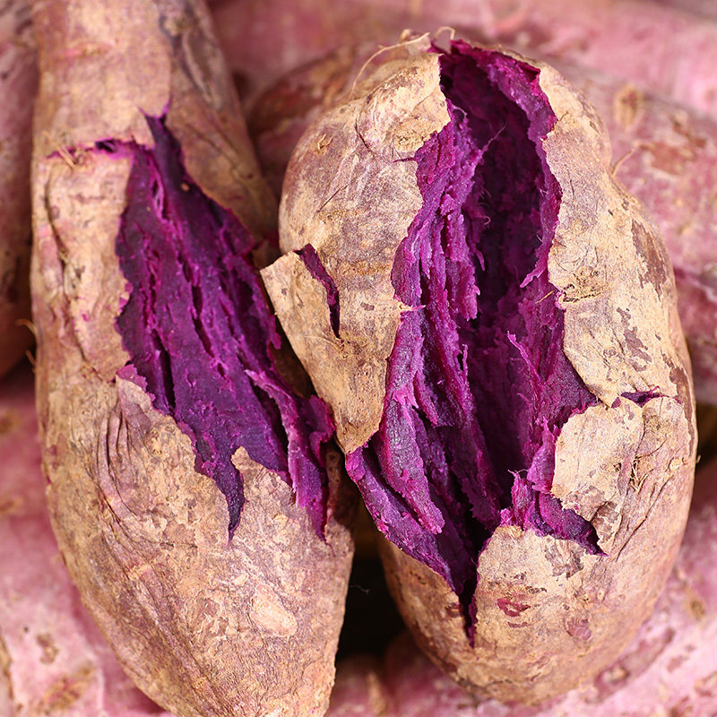 新鲜紫罗兰农家蜜薯5斤糖心山芋 哲扬番薯