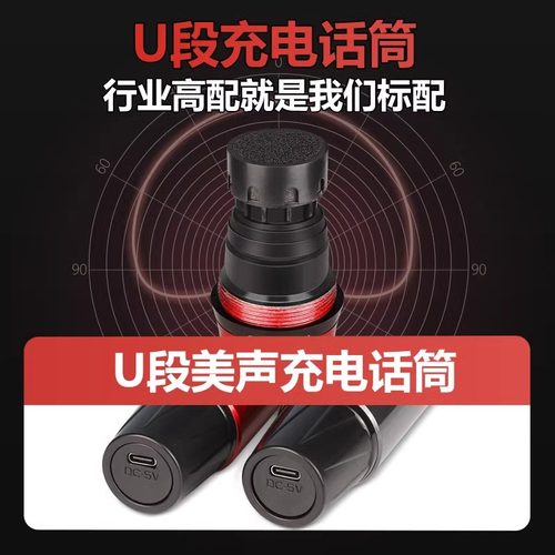 山水E2 Plus户外露营K歌音响功放一体机2024新款带显示屏官方旗舰 - 图3