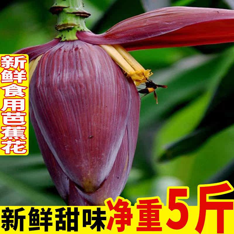 芭蕉花新鲜 新人首单立减十元 22年2月 淘宝海外