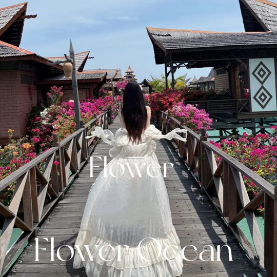 Bikini high-end ins sexy two-piece split pure slutty shirt seaside vacation swimsuit