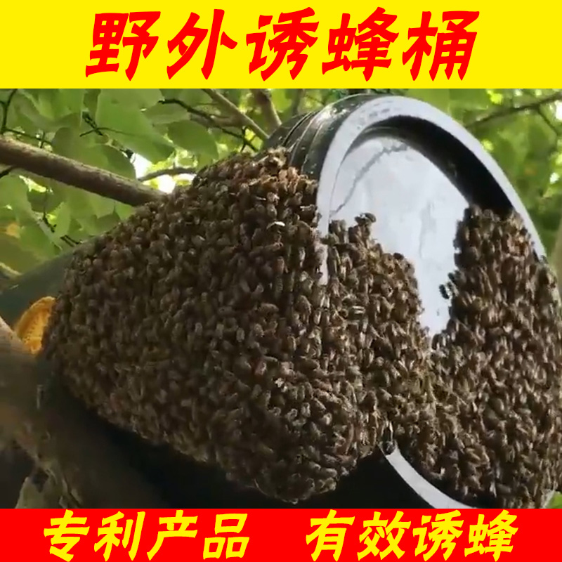 诱蜂桶黑色塑料桶野外圆桶大号带盖中蜂诱蜂箱引蜂招蜂水蜜蜂蜂蜡 - 图1