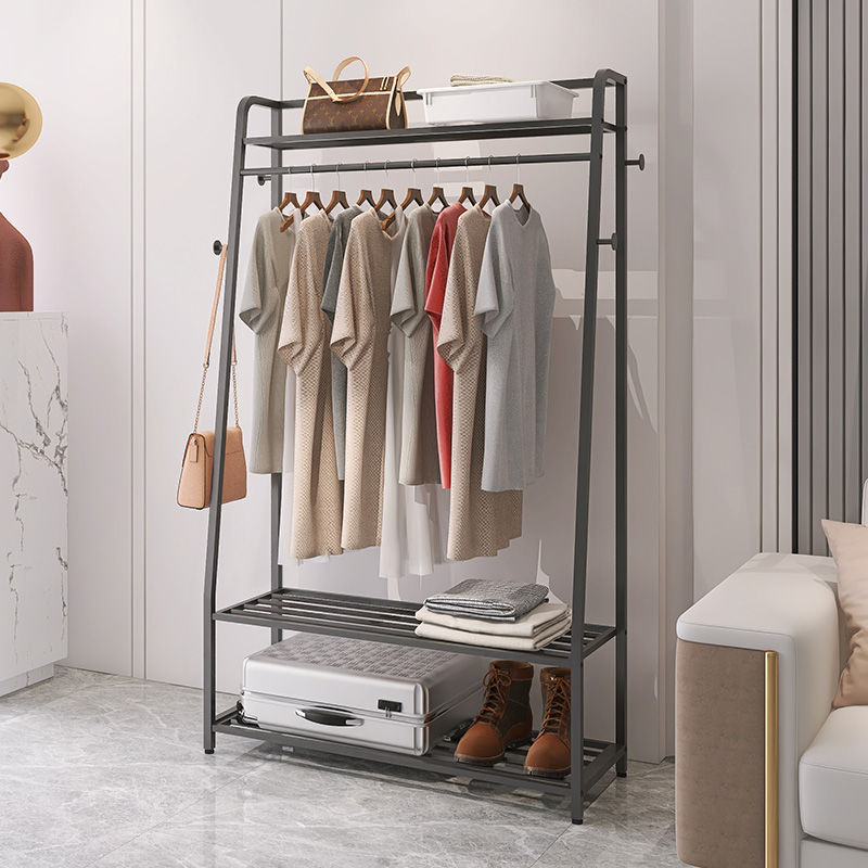 挂衣架落地卧室家用网红简易衣服架子现代客厅多功能轻奢衣帽架 - 图1