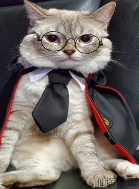 蓝猫帅气色西装花猫婚礼Cosplay圈围围脖宠物用品宠物领带领