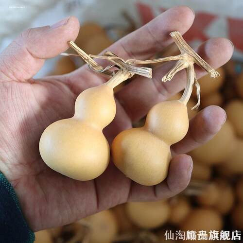 迷你龙头葫芦手把件绕指柔装饰摆件手捻文玩盘玩diy小葫芦挂件 - 图2