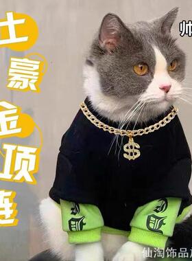 拍照道具猫咪金项链中小型犬项圈