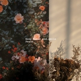 Прекрасный маленький день ретро -розовый заклер