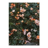 Прекрасный маленький день ретро -розовый заклер