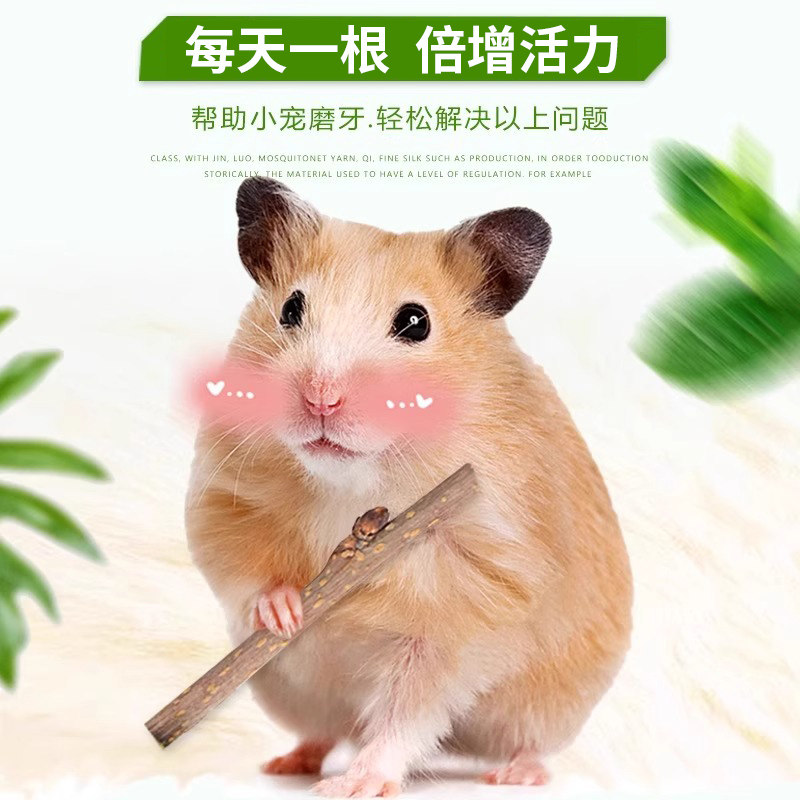 苹果枝磨牙棒小宠物咬木金丝熊荷兰猪磨牙石甜竹仓鼠磨牙树枝用品,淘宝优惠券,粉丝福利购,淘宝优惠卷