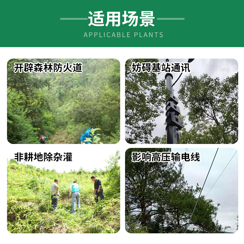 环嗪哃酮除草剂杀杂灌颗粒型烂根死根杂竹剂灌木开荒灭竹药铁路道 - 图2