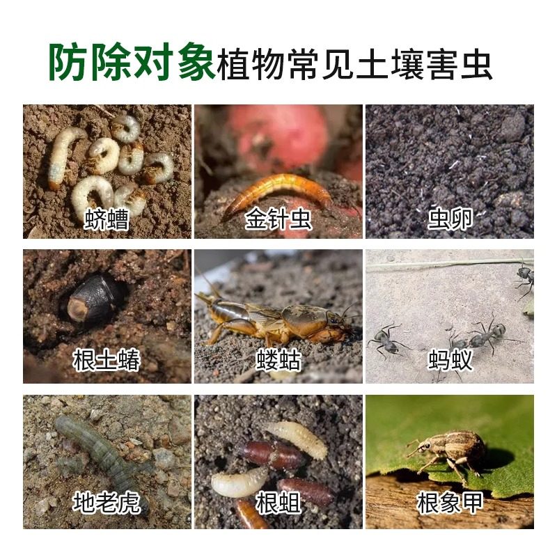 吡虫啉颗粒剂土壤害虫花卉多肉月季蚧壳虫蚜虫腻虫蓟马介壳虫花药,淘宝优惠券,粉丝福利购,淘宝优惠卷