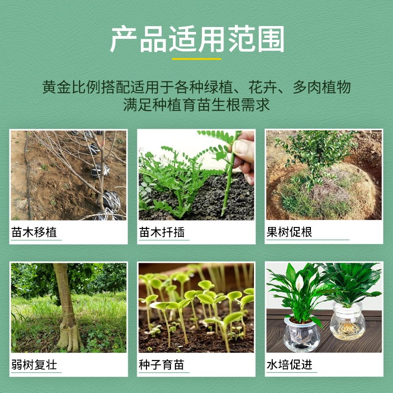 国光根盼吲哚丁酸萘乙酸植物生根剂扦插移栽苗木花卉爆发式生根液-图2