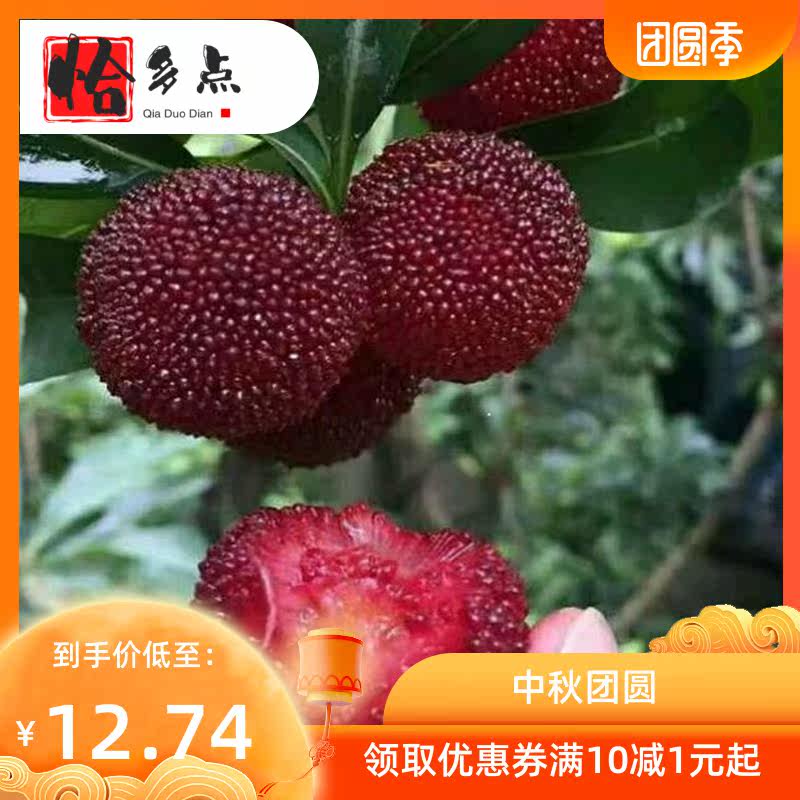 *【今年新果】蜂蜜山300克野生杨梅 恰多点梅类制品