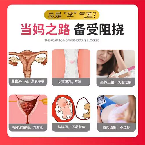 孕妇黑豆浆粉备可孕搭排卵即食卵子质量养卵泡补提高孕前吃巢孕酮 - 图0