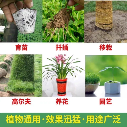 98%от сырой корневой корневой корневой корневой корневой