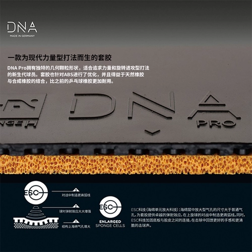 Стига ДНК M H Chilong Table Tennis Rack Rab